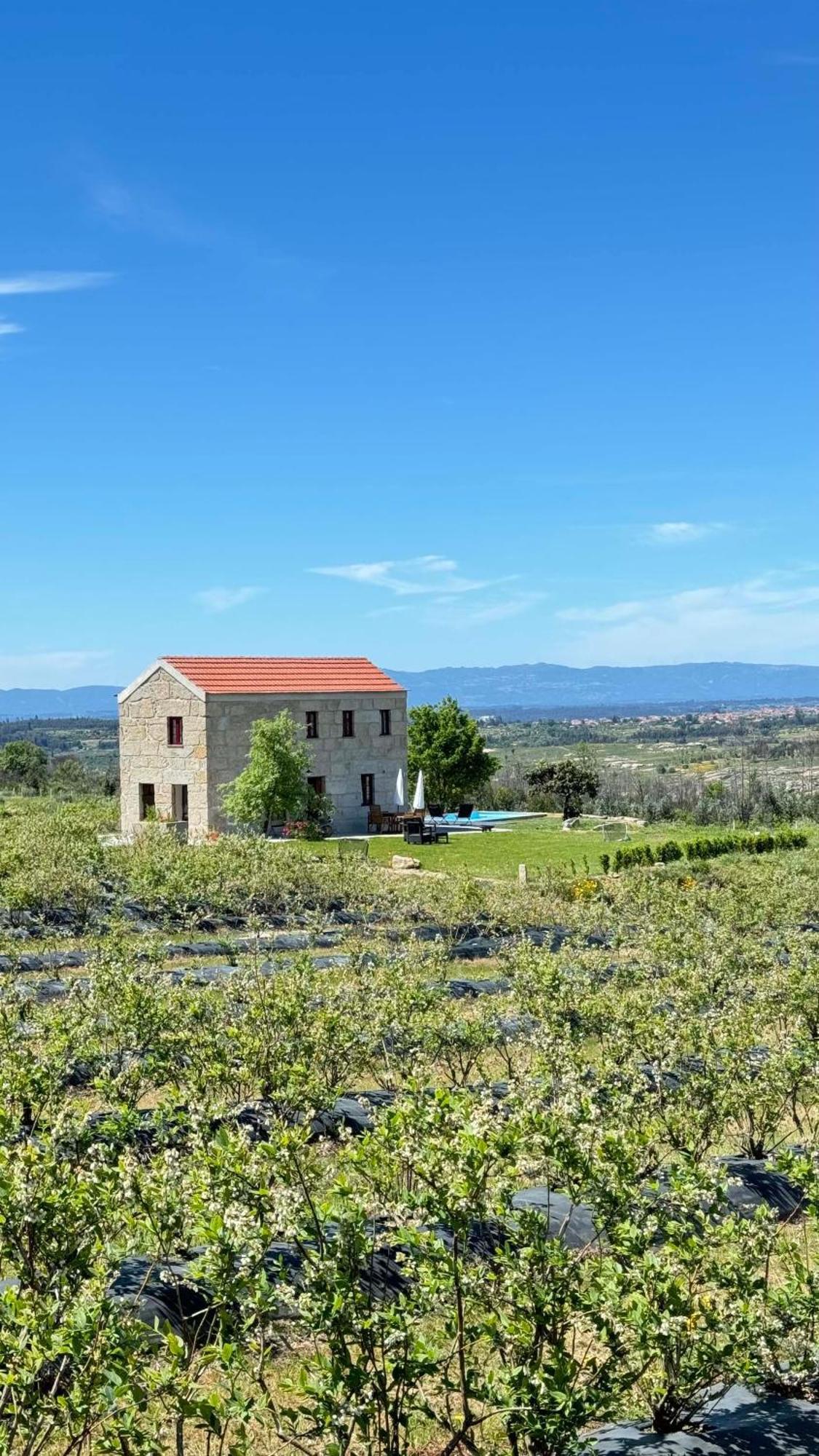 Вілла Quinta Da Cumieira Nova Сейя Екстер'єр фото